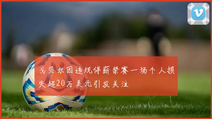 戈贝尔因违规停薪禁赛一场个人损失超20万美元引发关注
