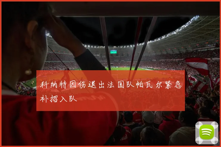 科纳特因伤退出法国队帕瓦尔紧急补招入队