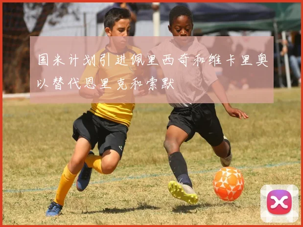 国米计划引进佩里西奇和维卡里奥以替代恩里克和索默