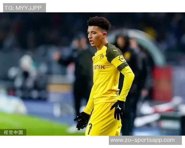 昔日多特搭档重聚哈兰德与贝林合影引发回忆老铁情谊再现